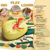 imageDino Fossil Eggs Dinosaur Toys  12 Dinosaur Eggs Dig Excavation Kit w Play Mat for Kids Ages 57 Easter Basket Essentials STEM Toy Christmas Birthday Gift for Boys Girls 3 4 5 6 7 8  813 Years OldMulticolor