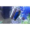 imageJasonwell Magnetic Aquarium Fish Tank Glass Algae Glass Cleaner Scrubber Floating Clean BrushSBlue