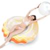 Seashell